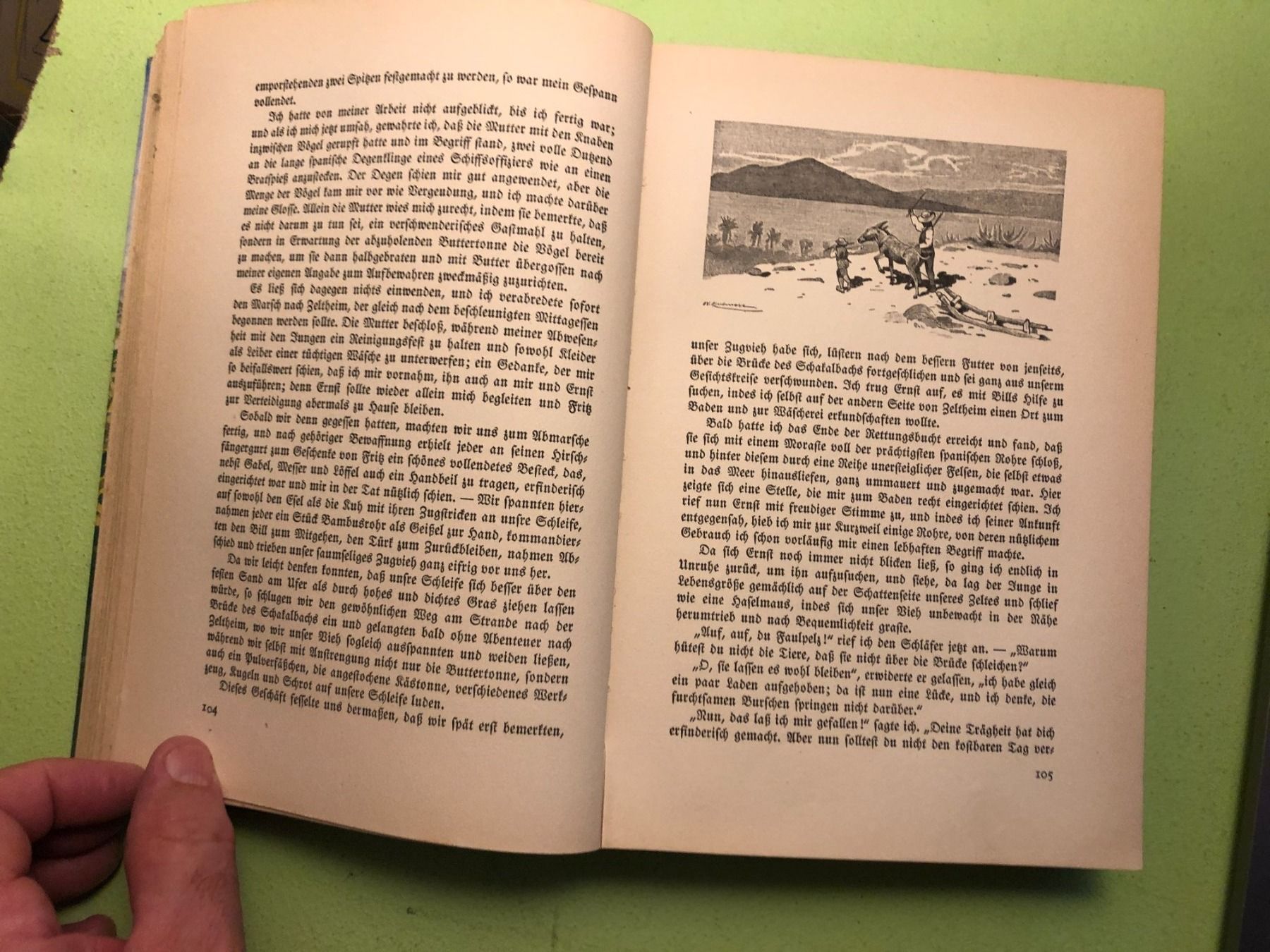 Bücher: Johann David Wyss: Der schweizerische Robinson – Neu (gemäss Beschreibung) aus Zürich von allp 4