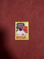 Panini Sticker Danley Jean Jacques Haiti Nr. 11