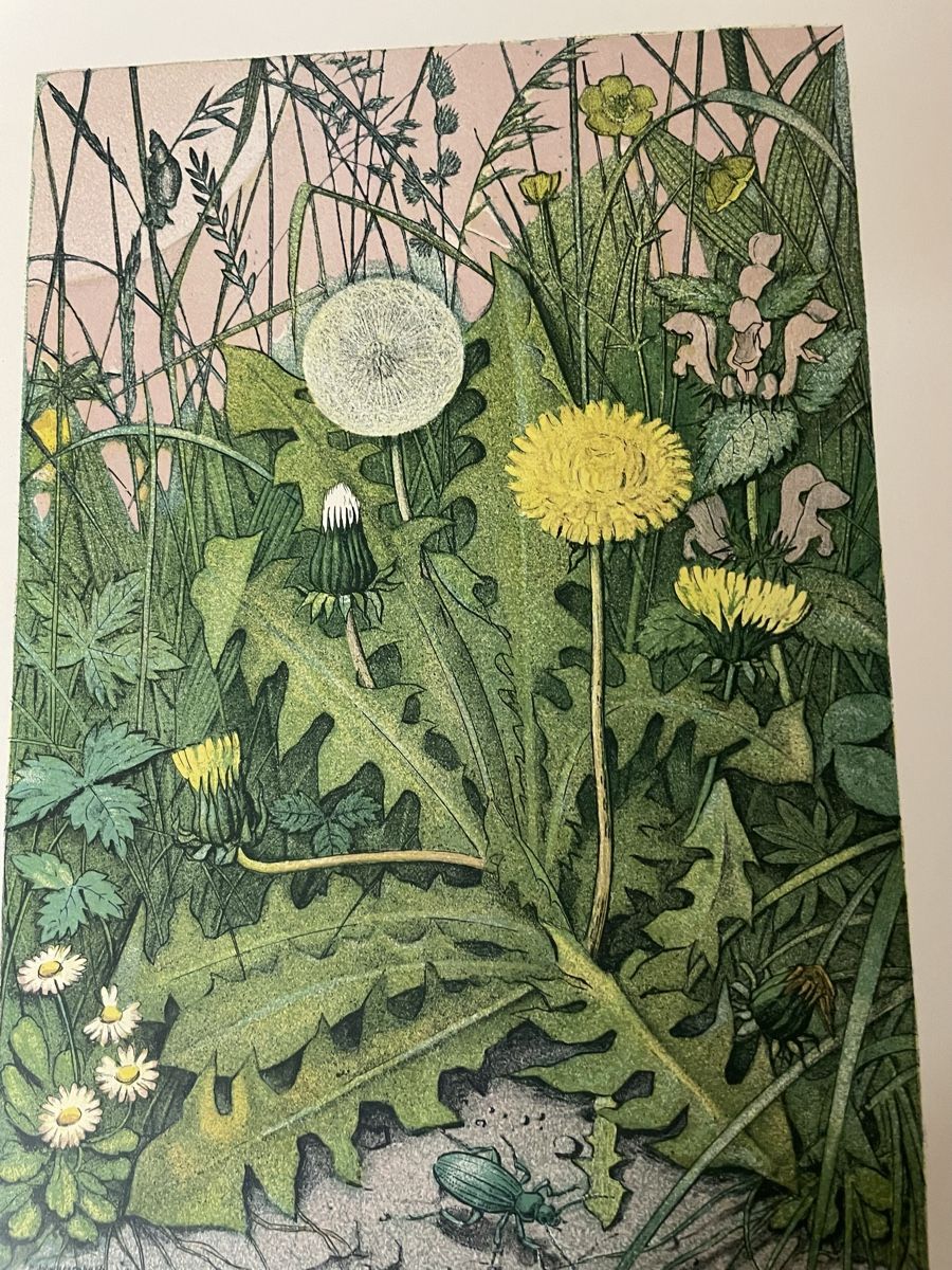 Grafiken & Lithographien: Hans Schwarzenbach, Litho – Gebraucht aus Hindelbank von chinok01 1