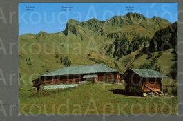 AK color Grindelwald BE Bussalp,Mittelläger,Simelihorn≈1990