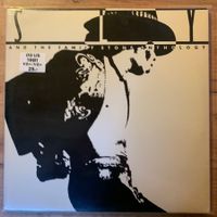 Sly & The Family Stone – Anthology...OG US 1981...VG+/VG+