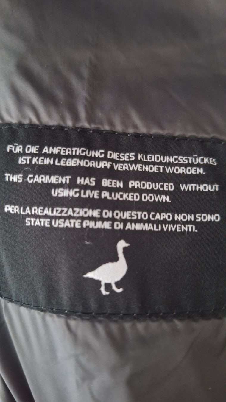 Vestes: Daunenjacke – D'occasion à Mumpf par SwissDi 2