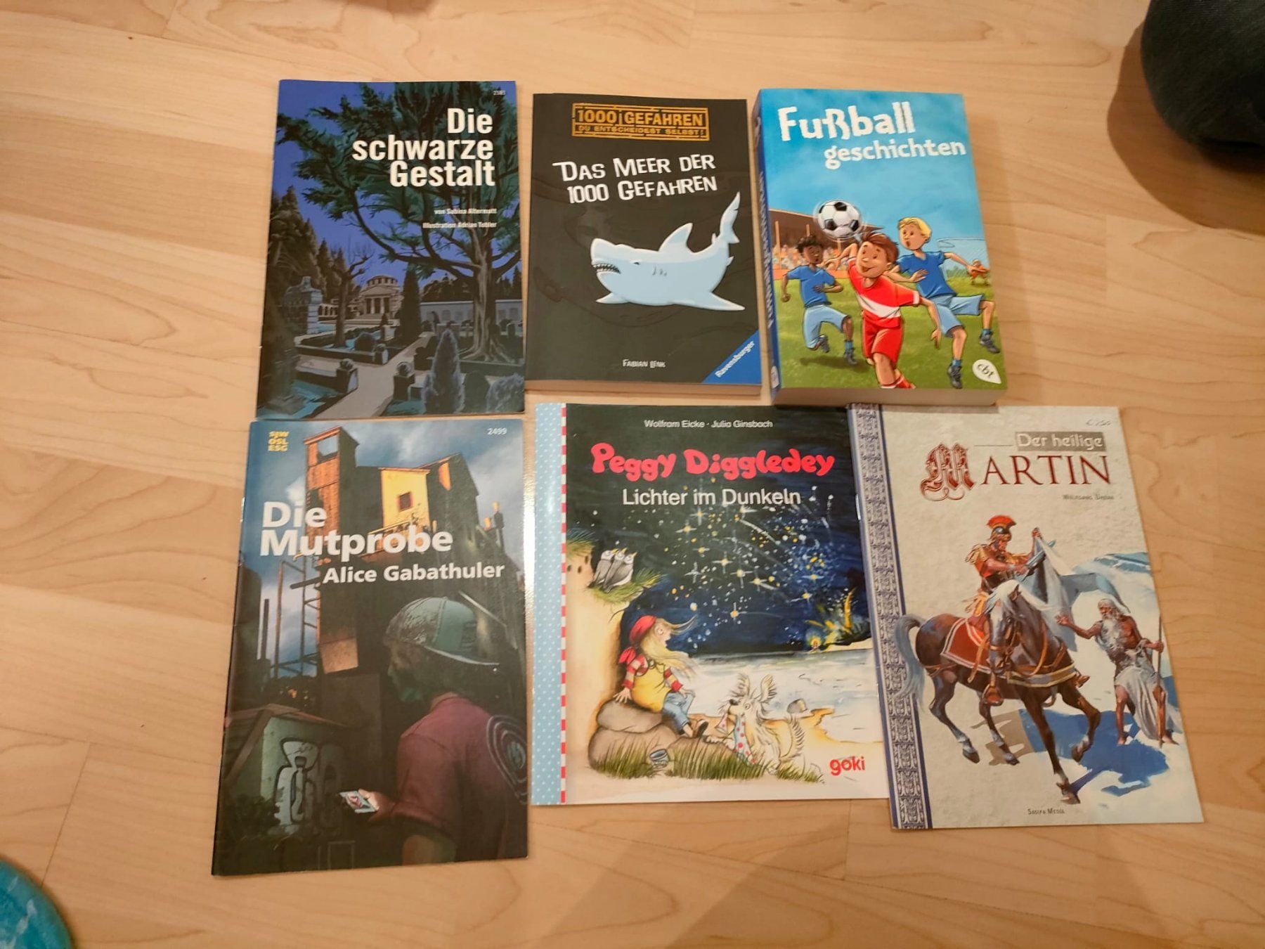 Libri: 6 spannende Jugendbücher – Usato da Feusisberg venduto da Whitefir