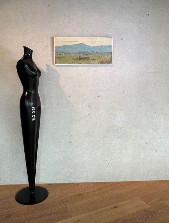 Peter Thalmann - Swiss Art Selection (Gebraucht) in Sursee für CHF 545 ...