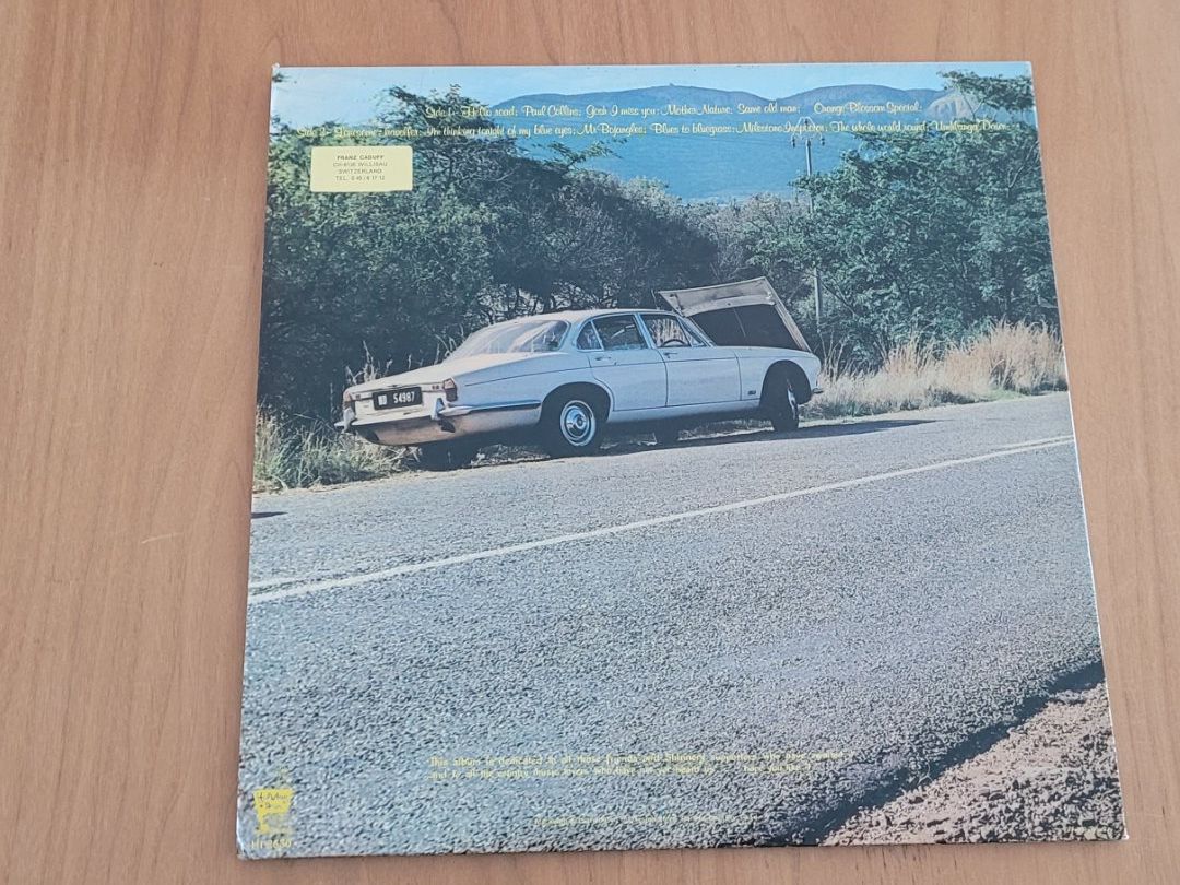 Dischi in vinile: LP  Shinnery – Usato da Martigny venduto da MZ-67 2