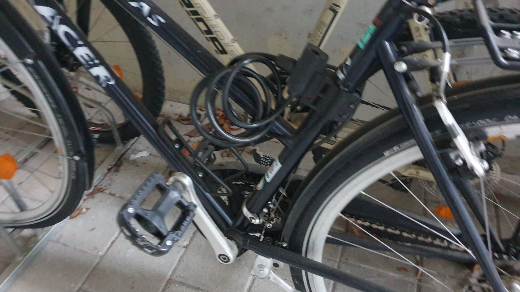 Velos: Velo Damen Las Vegas Racer – Gebraucht aus Zürich von 2JamMusic 3