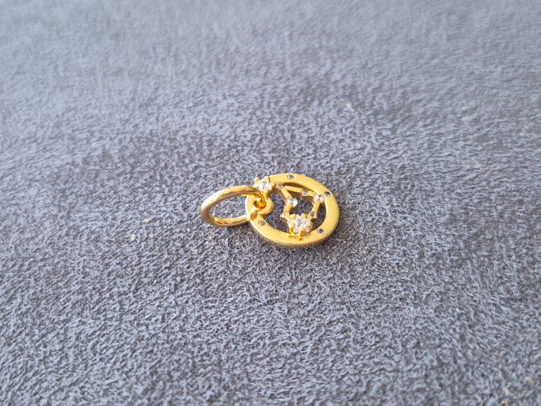 Ciondoli: Silber Charm Sternzeichen Steinbock goldfarbig +Garantie – Nuovo (secondo la descrizione) da Rotkreuz venduto da Carbone_Bijou-Shop 1
