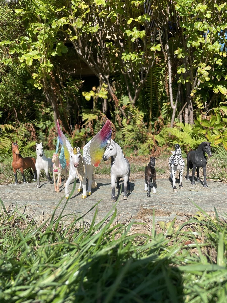 Schleich Giocattoli: Collection de chevaux Schleich  – Nuovo (secondo la descrizione) da Bussigny-sur-Oron venduto da adaouk 5