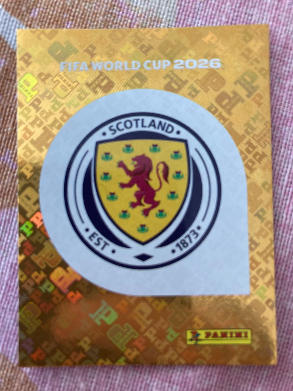 Panini Carte collezionabili: WM Sticker SCO 1 – Nuovo (secondo la descrizione) da Winterthur venduto da Whitefish