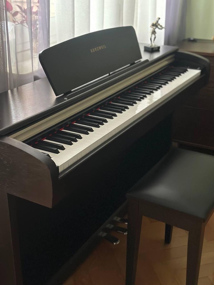 Strumenti musicali: Kurzweil / Mark-Pro ONEi – Usato da Naters venduto da Swissdancer 4