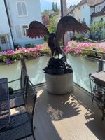 Adler