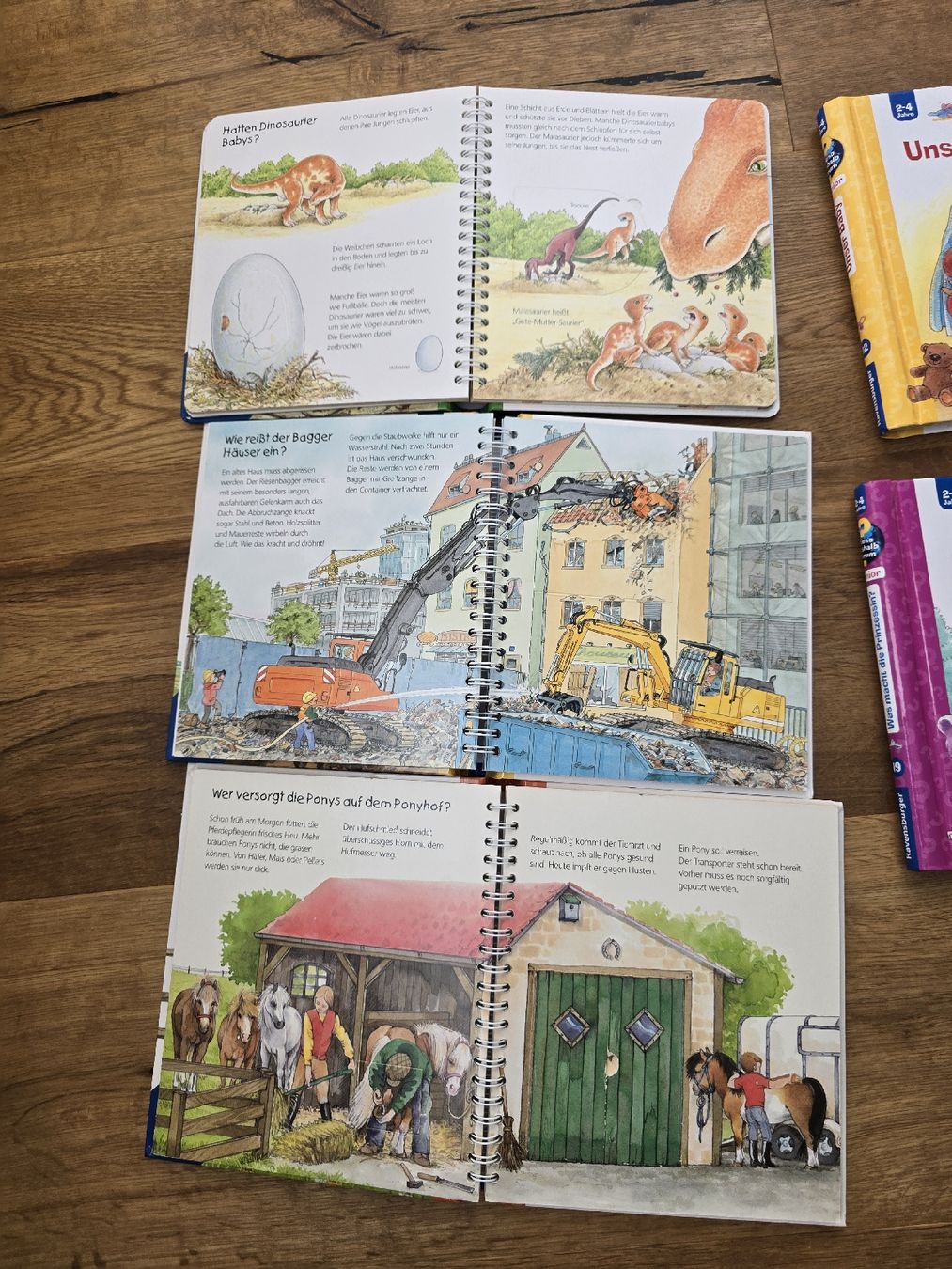 Libri: Kinderbücher-Set: "Wieso? Weshalb? Warum?" Junior, set – Usato da Wittenbach venduto da Tigerlili 4