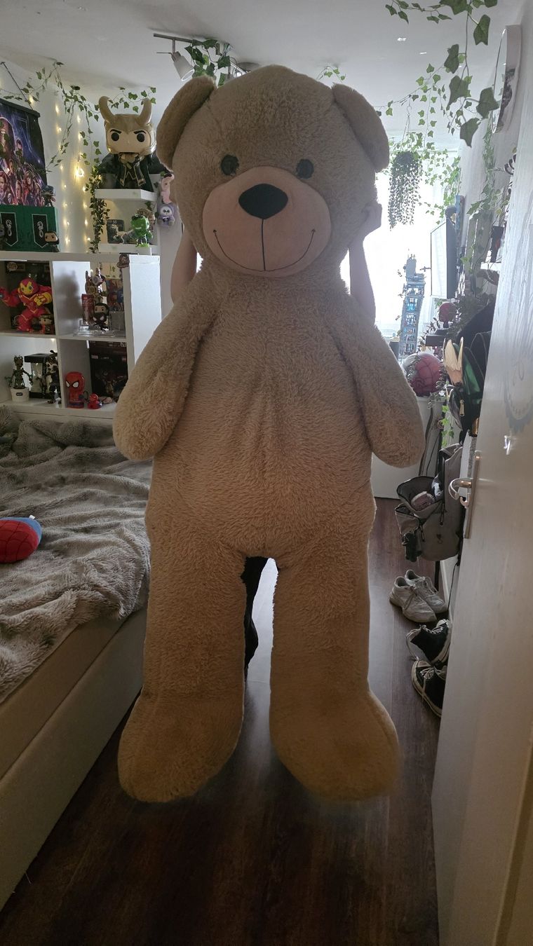 Giocattoli: Teddybär XXL (2 Meter gross!) – Usato da Rorbas venduto da Diana_279