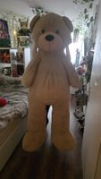 Teddybär XXL (2 Meter gross!)