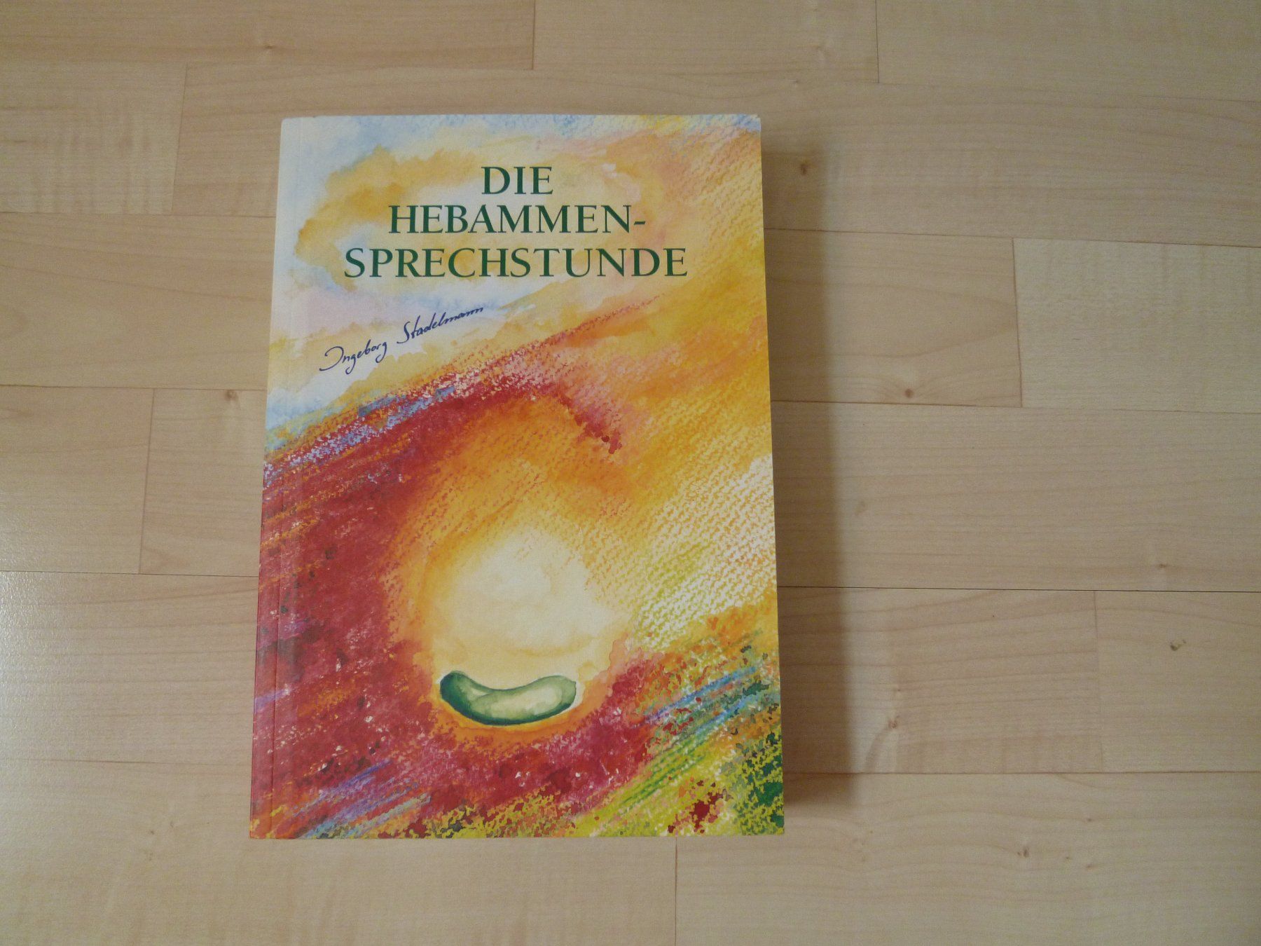 Libri: Die Hebammen-Sprechstunde  Ingeborg Stadelmann – Usato da Dättlikon venduto da Mamakuga