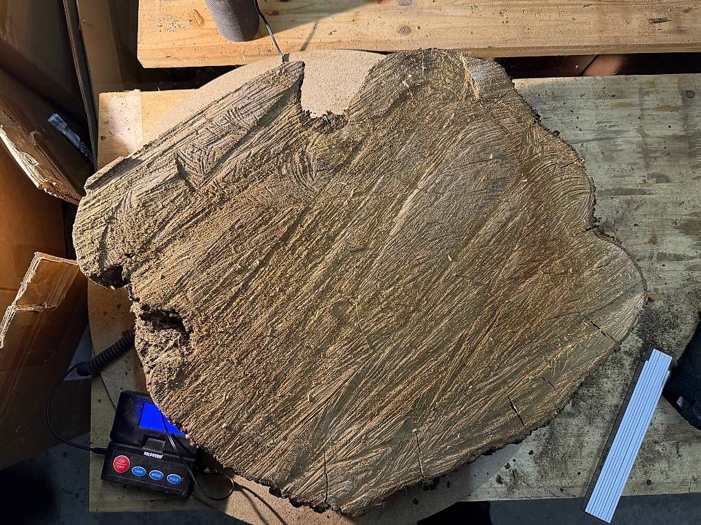 Articoli in legno: Olivenholz Baumscheibe G3 – Usato da Buus venduto da macipioji 1