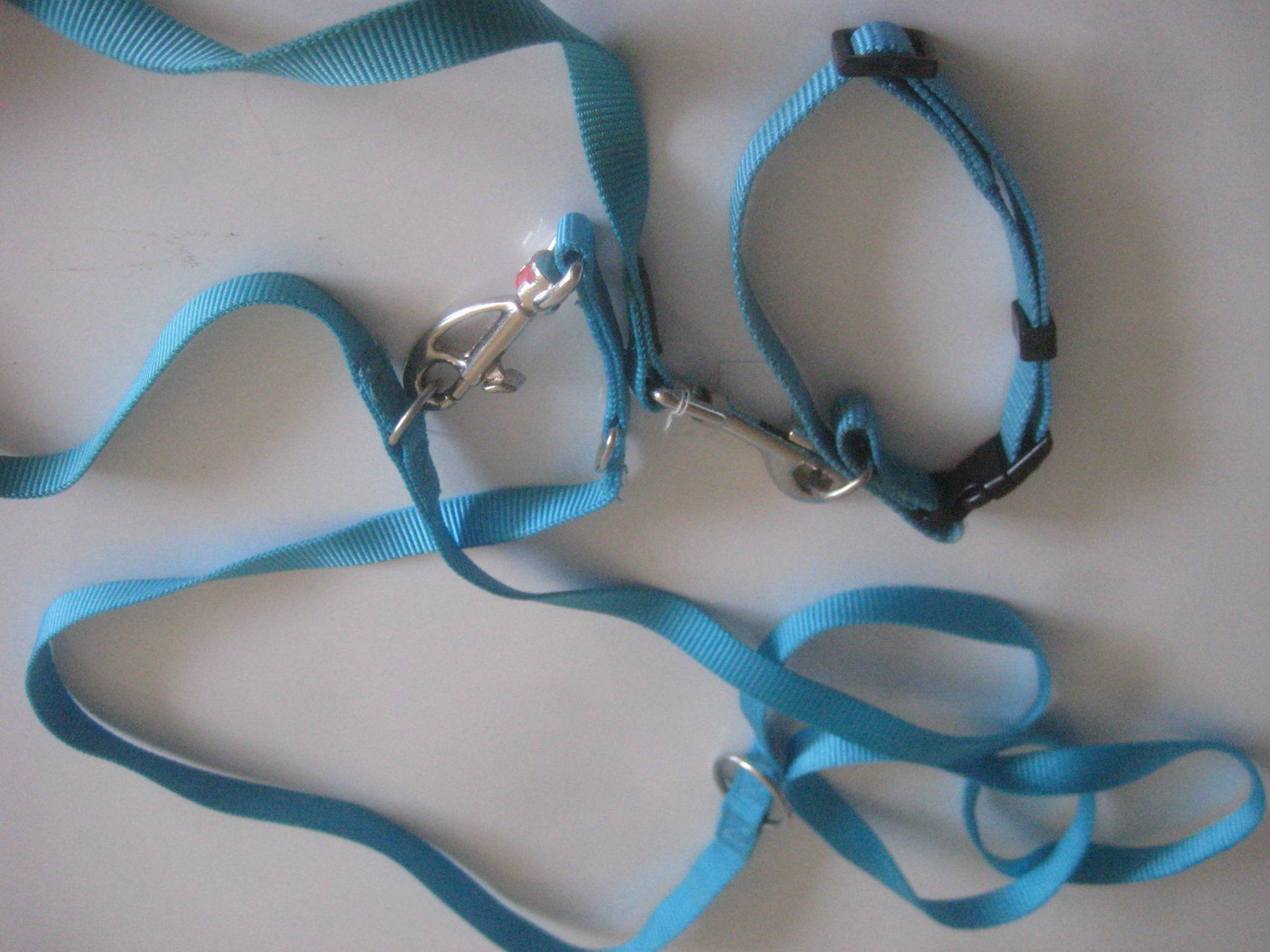 Leine & Halsband: HUNDE LEINE UND HALSBAND – Neu (gemäss Beschreibung) aus Uster von flocke1