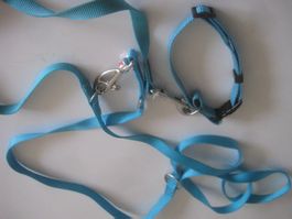 HUNDE LEINE UND HALSBAND