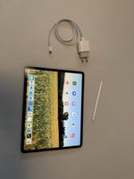 12.9” iPad Pro (4. Generation)