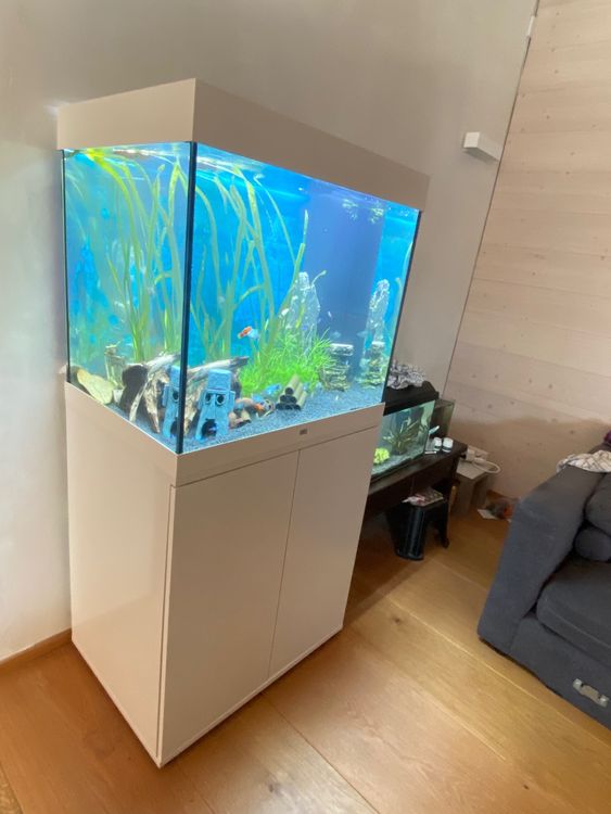 Sitemapcdatahttpsmodeinf Inetcomaquarium Colonne Occasion