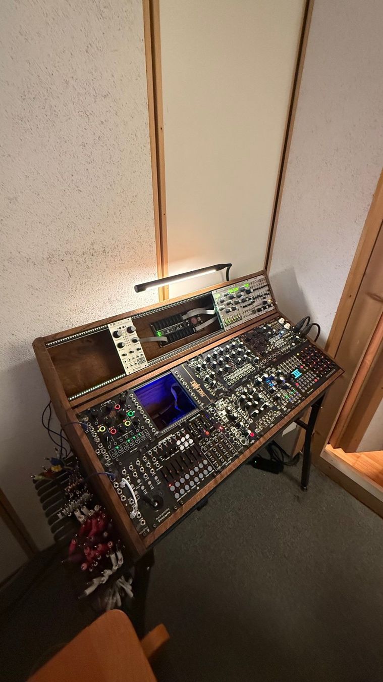 Musikinstrumente: Modular Case von 2 many Synths – Gebraucht aus Niederglatt ZH von Bluevortex 4