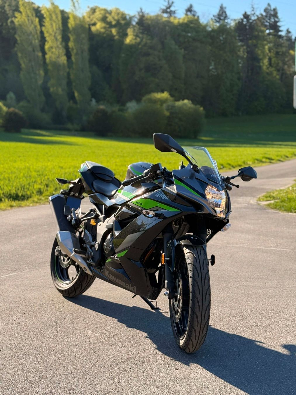 Strada: KAWASAKI Ninja 125 – Usato da Fahrwangen venduto da kry_5kbd