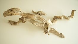 Gr. Wurzelskulptur V