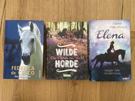 Pferde Bücher