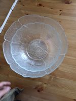 2 Glas Schüsseln, Salatschüsseln,  Blumenmuster gut erhalte