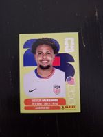 panini 2026 usa 10