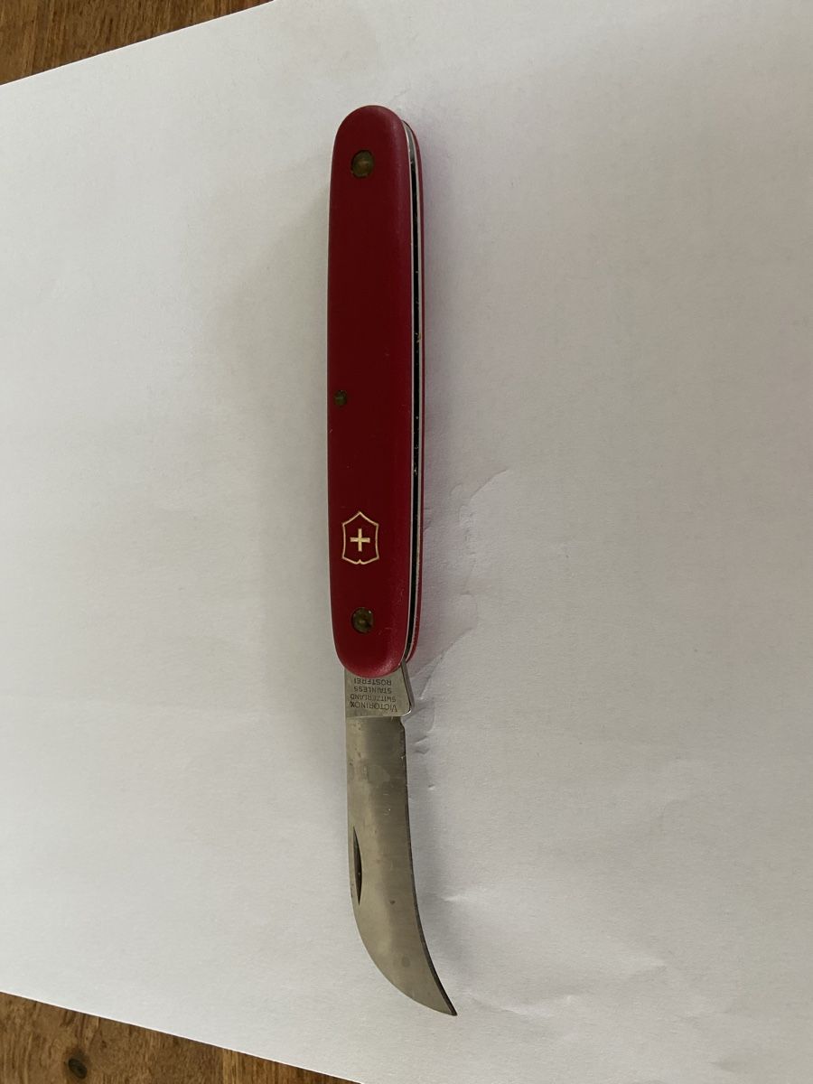 Victorinox Taschenmesser: Sackmesser Victorinox alt – Gebraucht aus Jona von aroosa 1