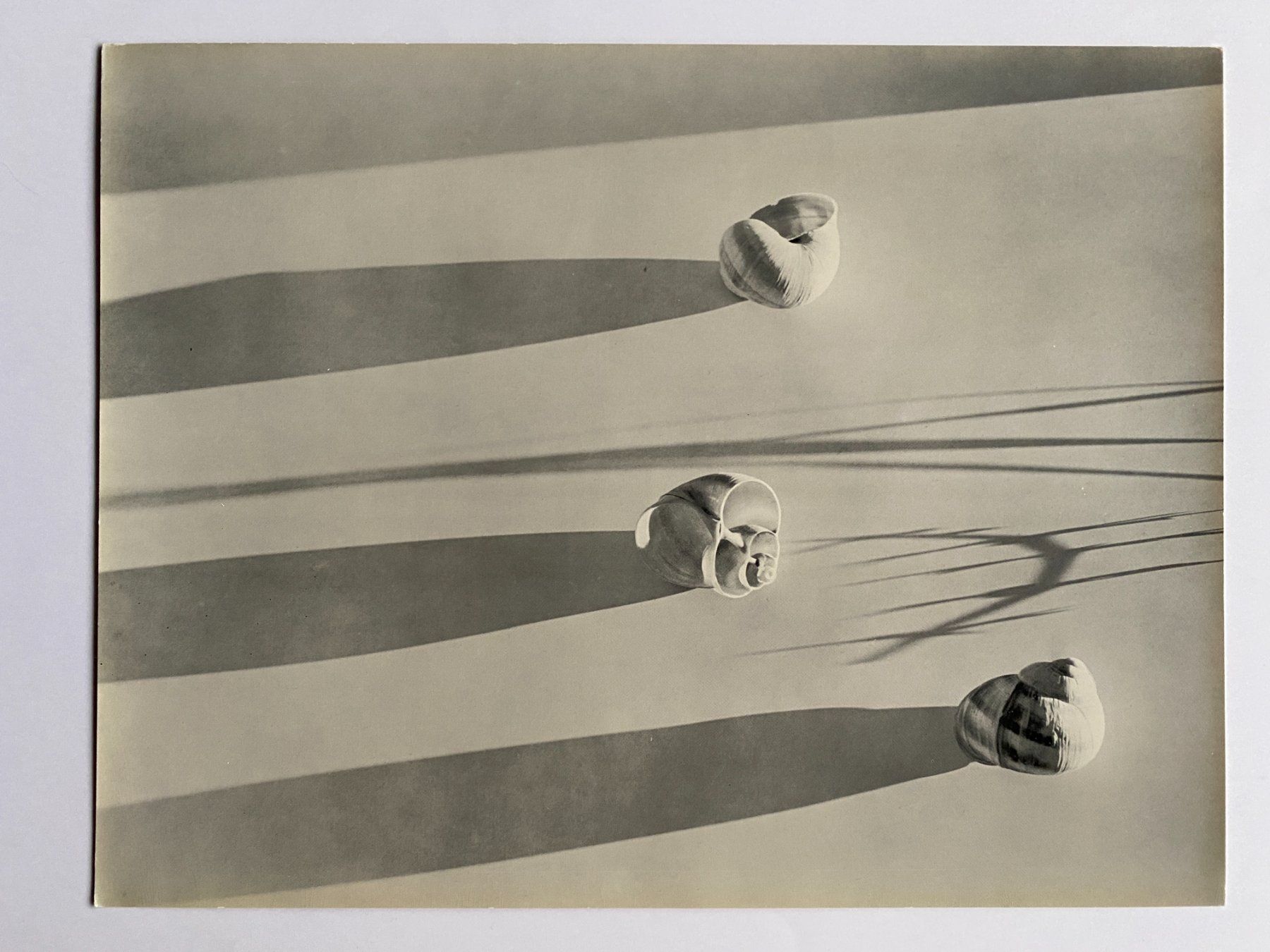 Foto & Immagini: Werner Bischof Fotomappe – Usato da Lichtensteig venduto da pet_5qwk 3
