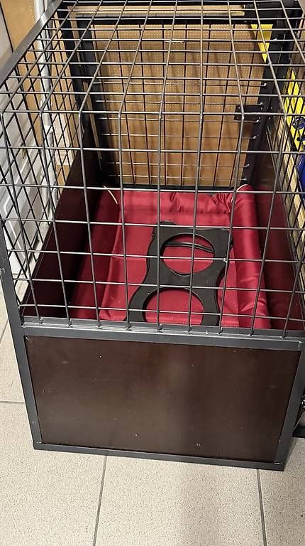 Gabbie, trasporto & Sicurezza: Gabbia per cane piccola taglia – Usato da  venduto da  1