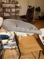 Stokke Babyschale Tripp Trapp
