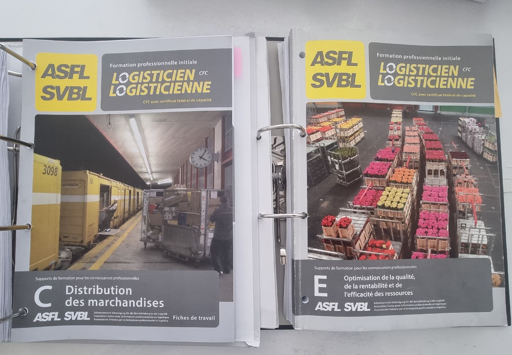 Libri: Support cours cfc logisticien de distribution – Usato da Neuchâtel venduto da hbenfrh 3
