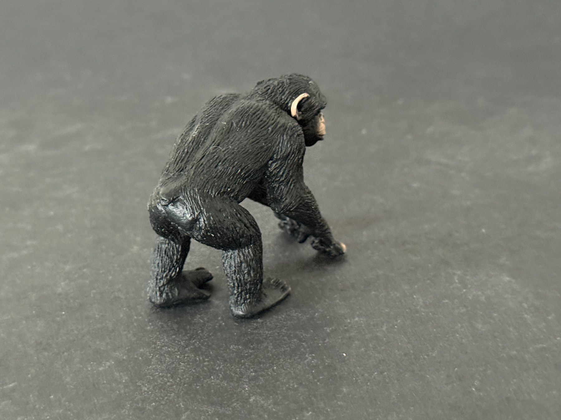 Schleich Figuren: Schleich Schimpansen Männchen Affe Schimpanse – Neu (gemäss Beschreibung) aus Ennetbaden von mapa05 4