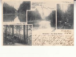 Winterthur Walke Weiher 1904