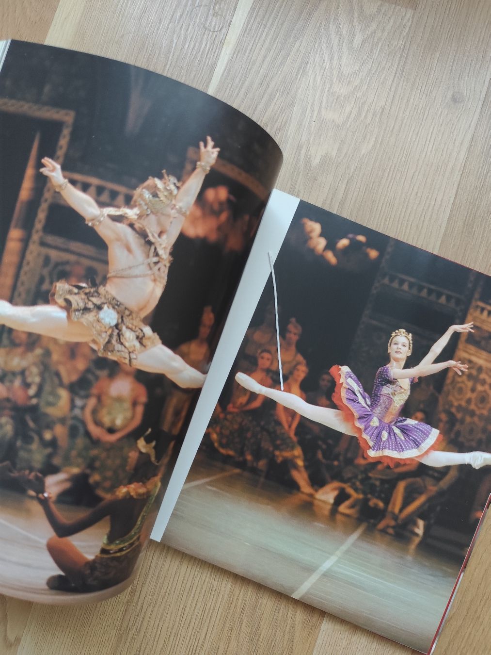 Libri: Danse book photos Jacques Moatti ballet Paris Opera – Usato da Mägenwil venduto da VintageGirly 6