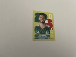 FIFA WM 2026 Raúl Jiménez MEX 17