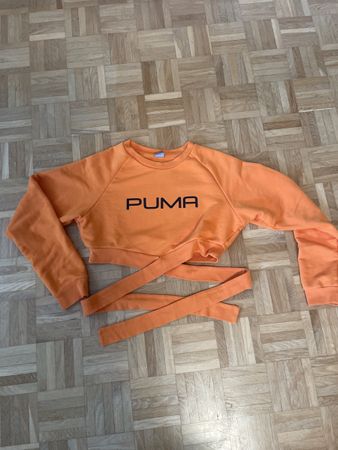 Puma Cropped Sweatshirt Gr. M - Orange - Top Zustand