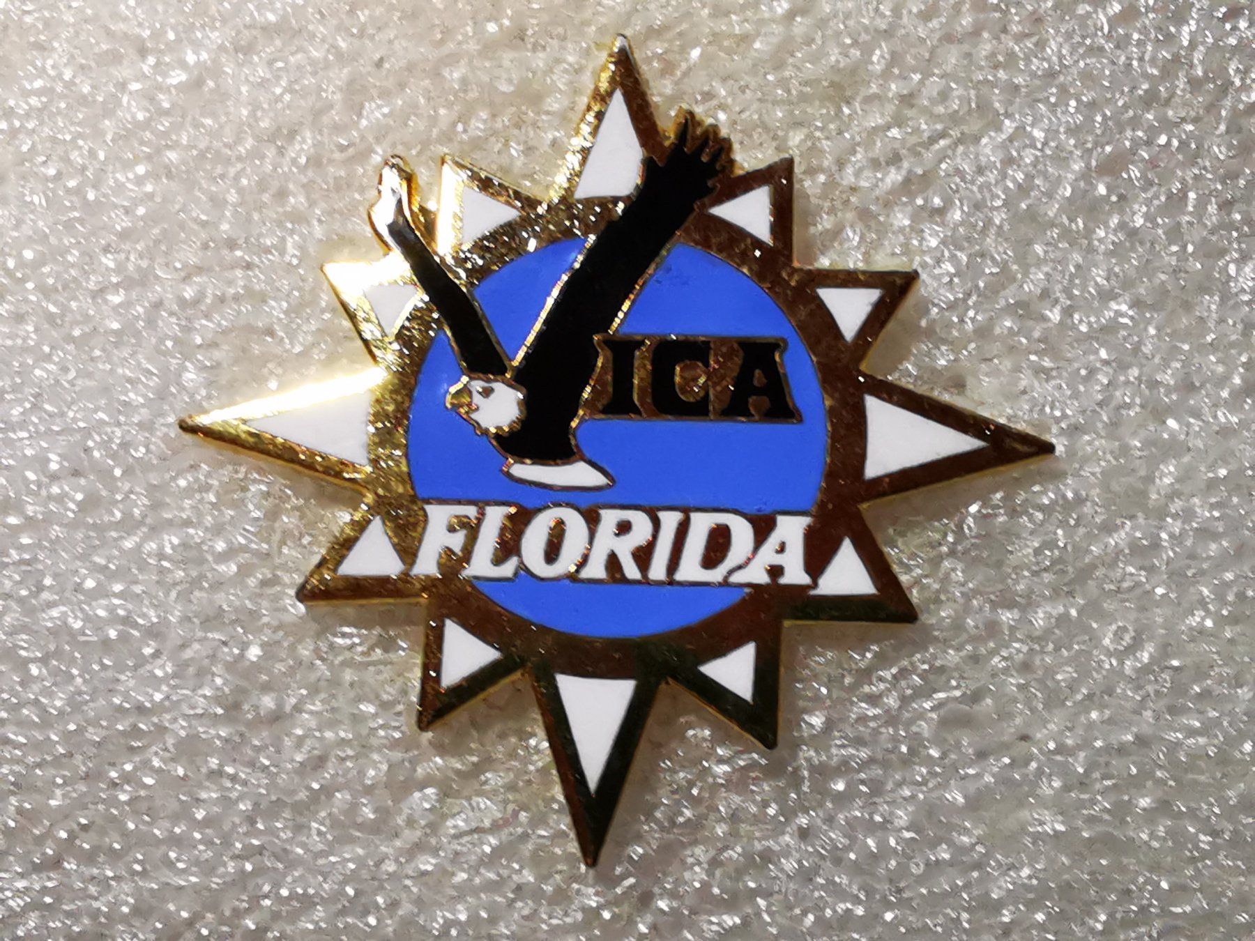 Placchette & Badge: Ansteckpin 52: Vica Florida – Usato da Oppligen venduto da Pin-Fall-Shop