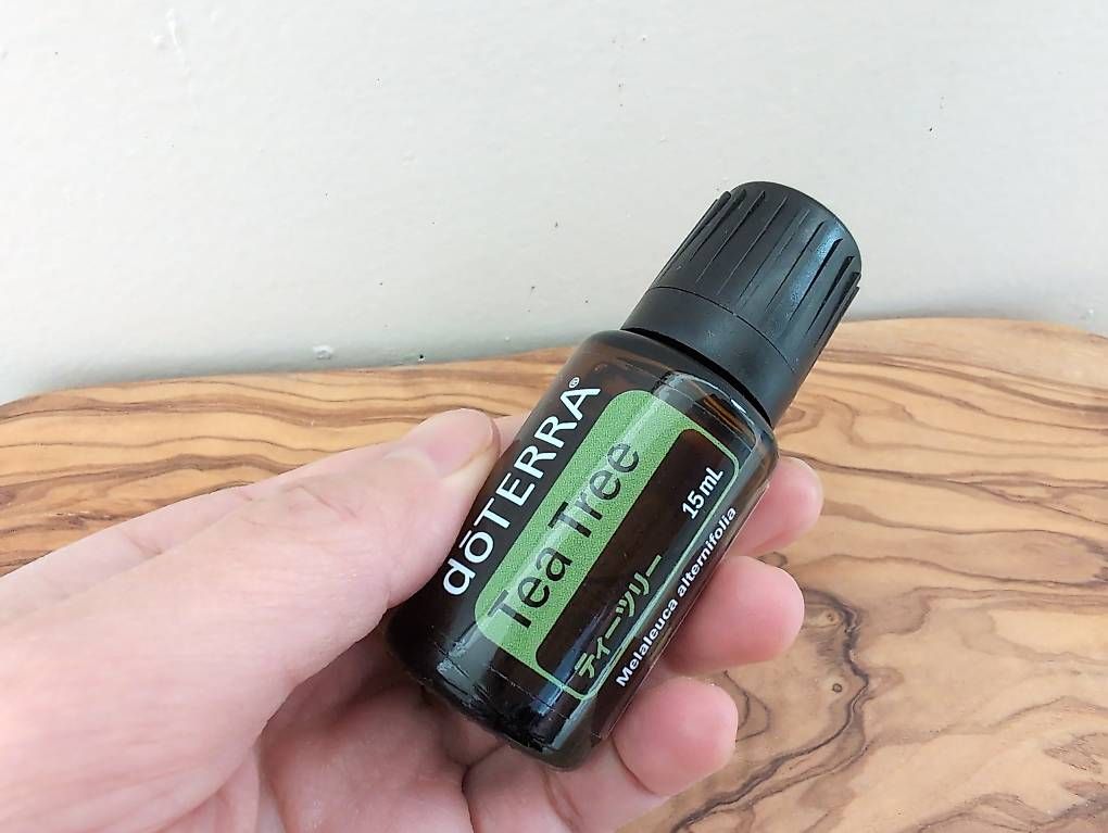 Doterra Oli essenziali: [NEU/ungeöffnet] doTERRA Tea Tree 15ml – Nuovo e nell'imballaggio originale da Morschach venduto da be_la 4