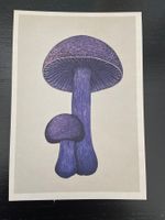 AK neu Illustration Pilz Royal Botanic Gardens Fungarium