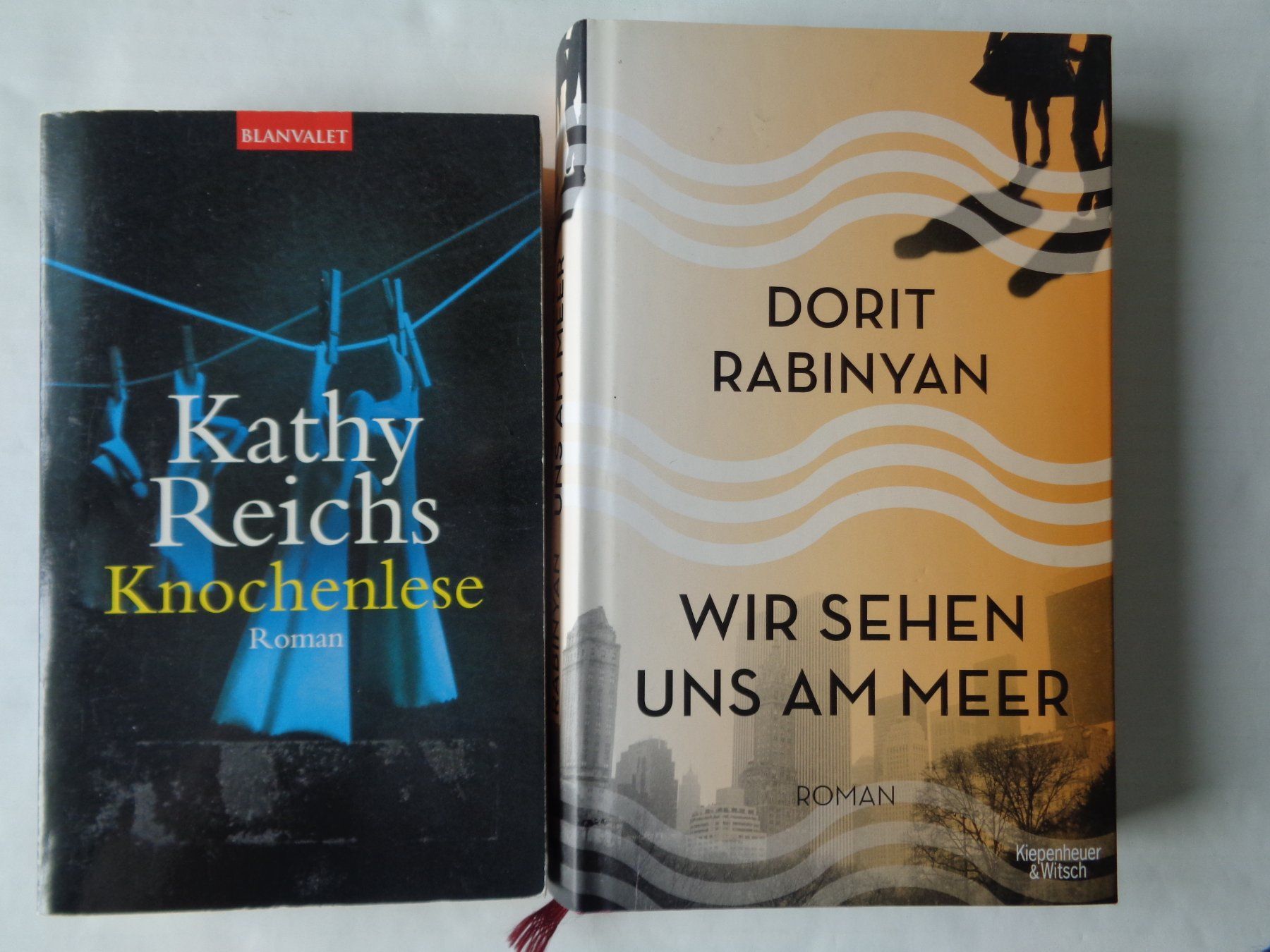 Libri: 8 Bücher – Romane - Konvolut – Usato da Chur venduto da omonia 7