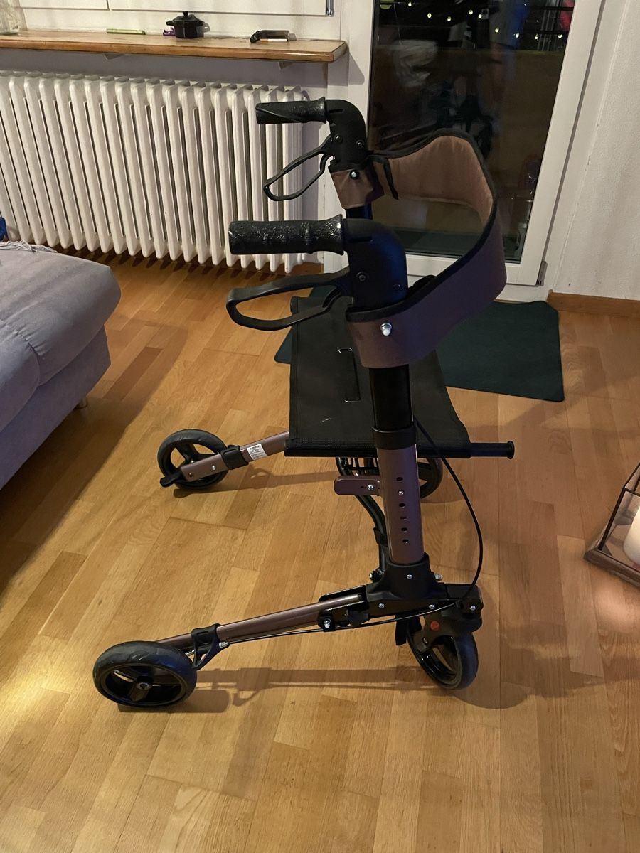 Ausili per la deambulazione: Rollator Arebos Alluminium – Nuovo (secondo la descrizione) da Schlieren venduto da hornigbiene 4