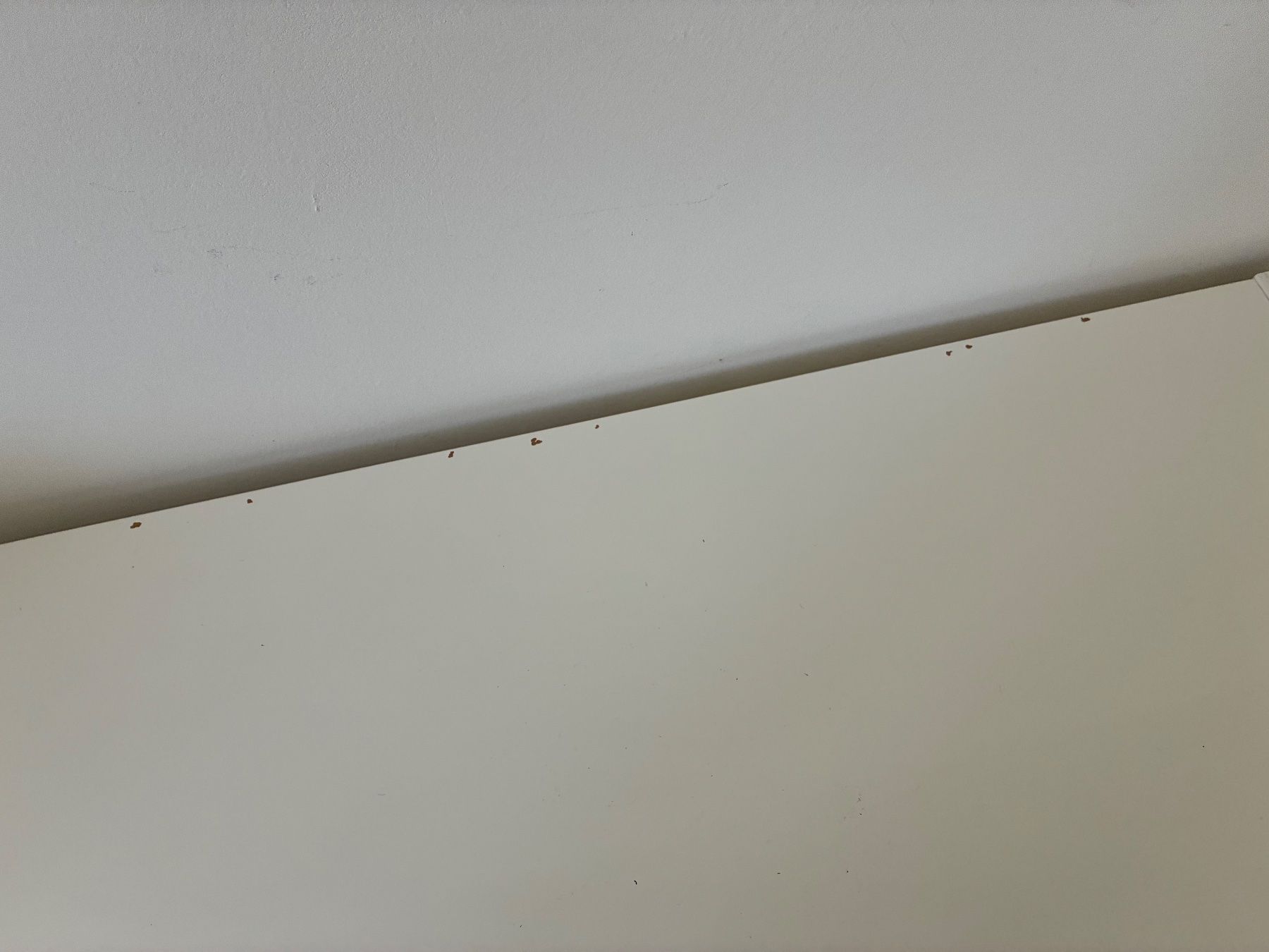 Ikea Scaffali: Kallax hochglanz weiss – Usato da Saland venduto da Francyherrera 2