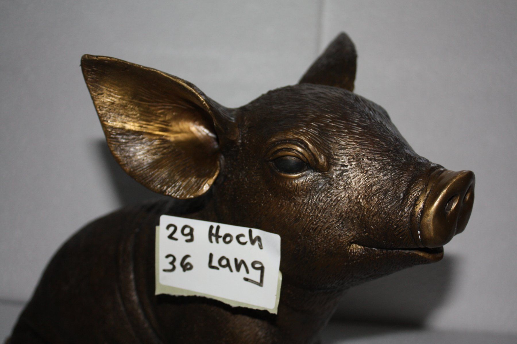 Tutte le macchine: Schweine Enthaarung Maschine – Usato da Schwyz venduto da Titlis49