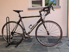 Rennvelo Bergamont Dolce 6.0 wie neu