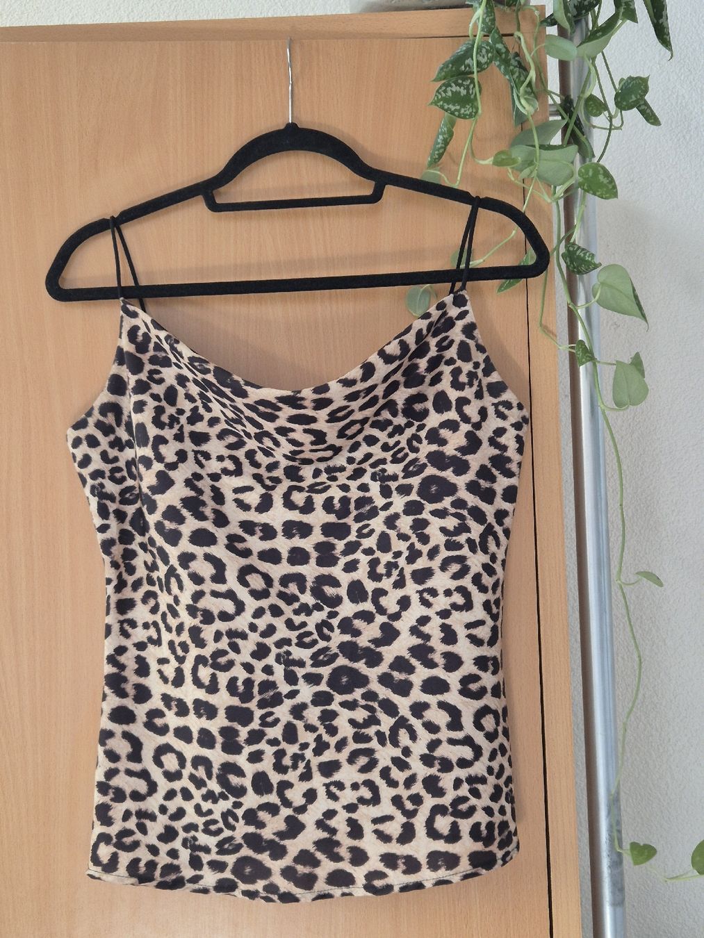 Top: Leo-Top – Usato da Gondiswil venduto da jst_z5bz