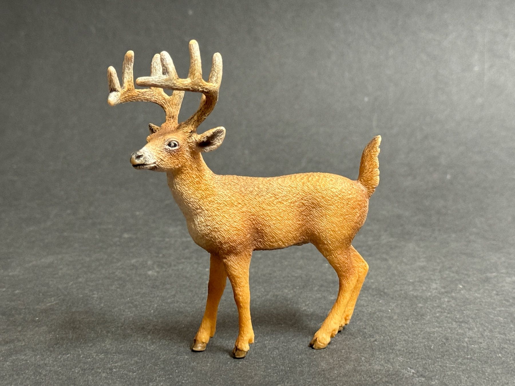 Schleich Statuette: Schleich Weisswedelhirsch Hirsch Kuh – Usato da Ennetbaden venduto da mapa05 4